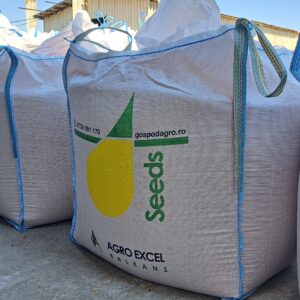 Big bags