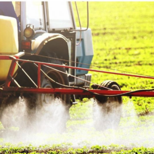 Erbicide rapiță