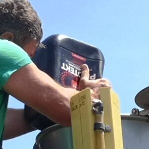 Foliare și biostimulatori rapiță