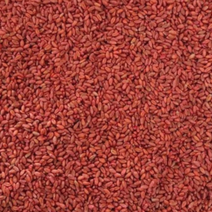 Tratament semințe cereale